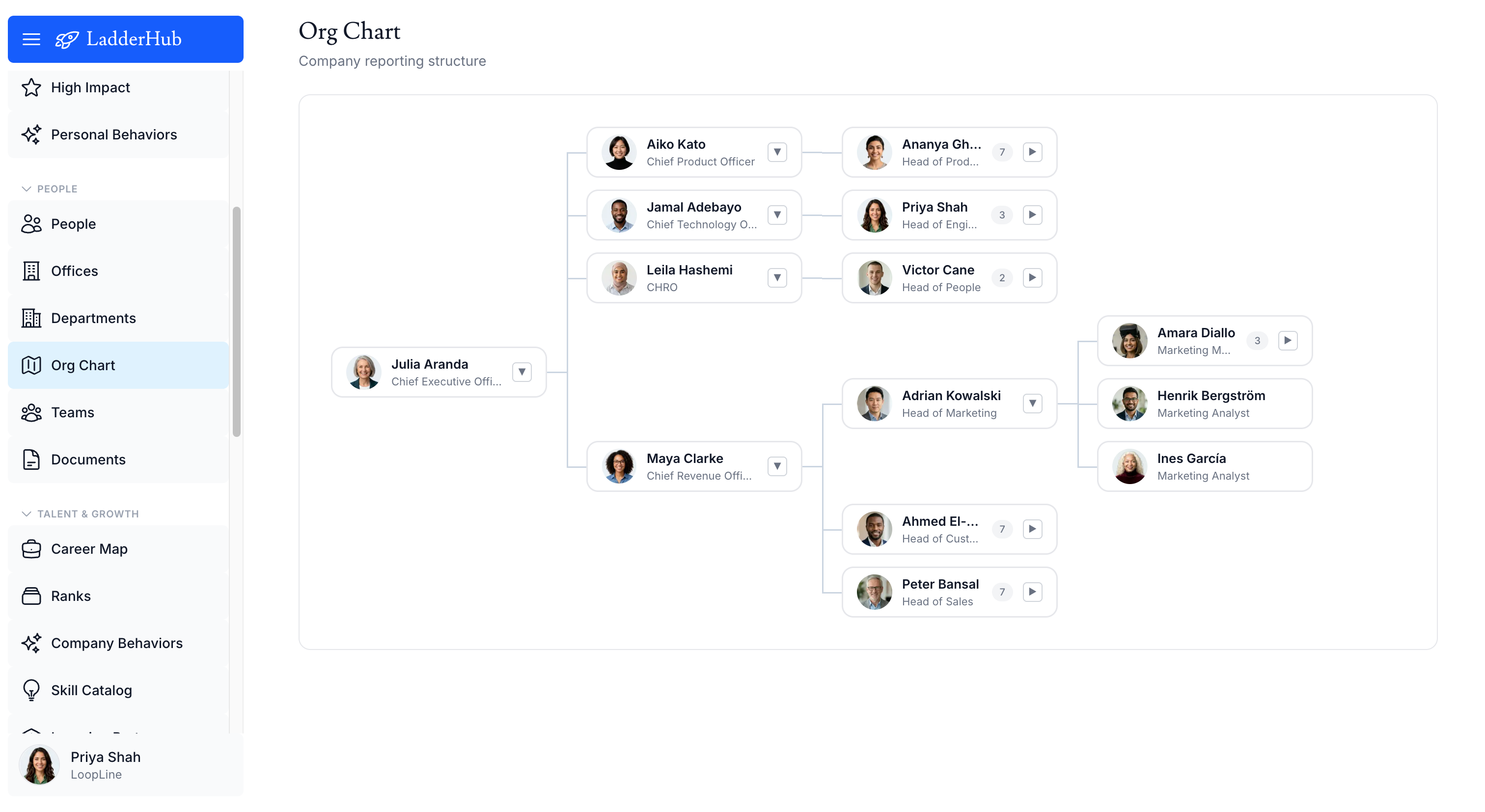 Company-wide org chart built from manager reporting relationships